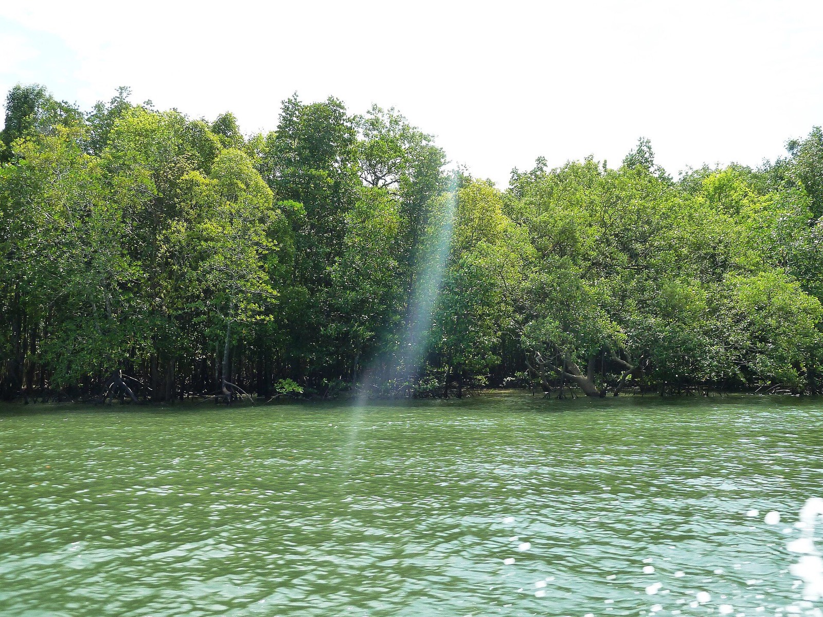 Limestone islands rising from Phang Nga Bay